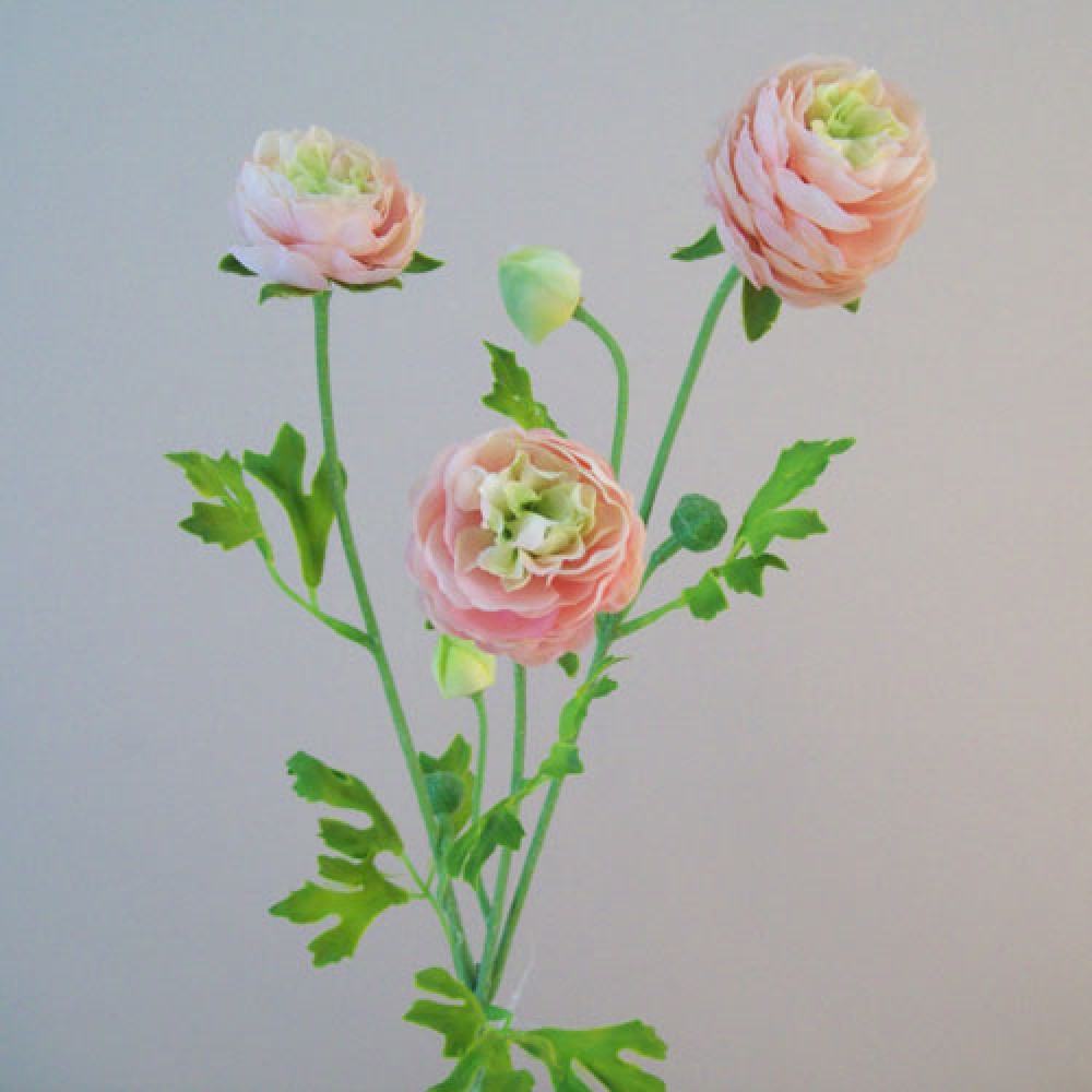 Silk Ranunculus Flowers Pink and Green 65cm Artificial Flowers